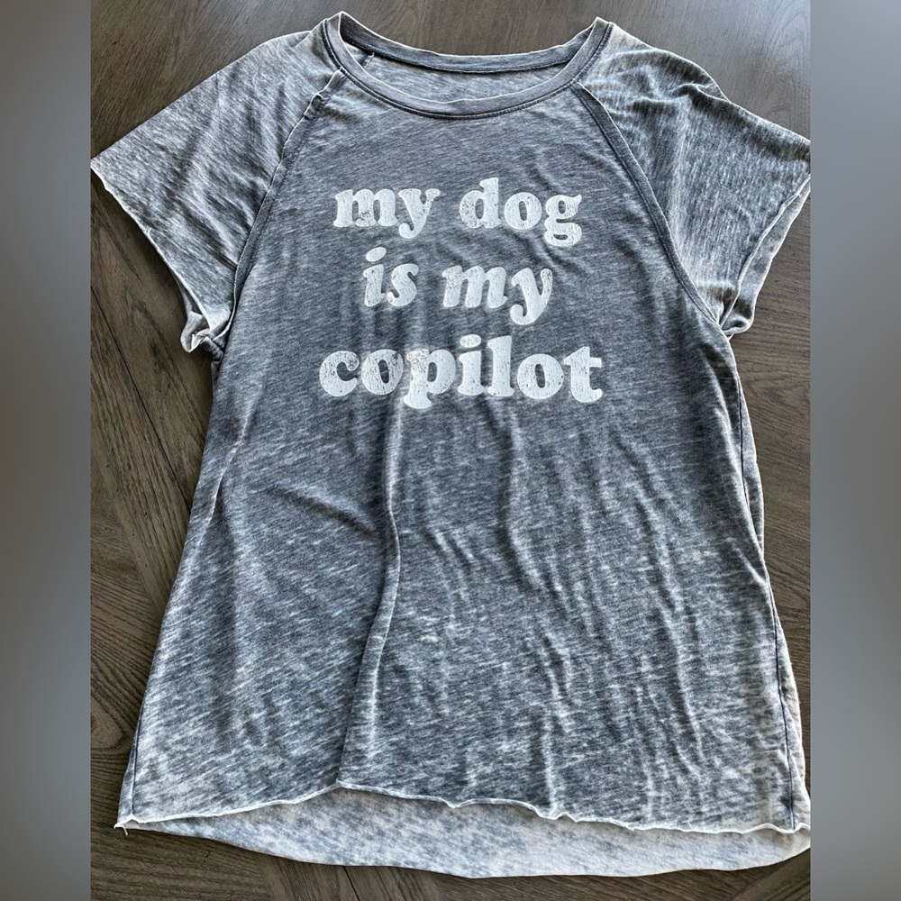 Small graphic tee, short sleeve. Fits big